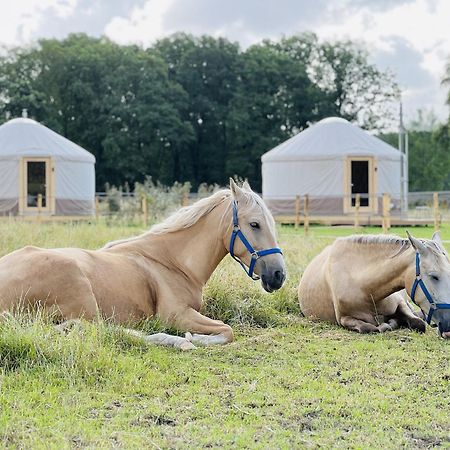 Magnolia Hoeve - Unieke Bestemming Voor Paardenliefhebbers En Bijzondere Overnachtingen In De Natuur Ledeacker Eksteriør billede