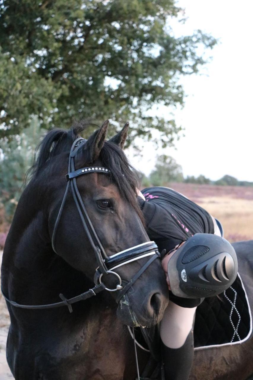 Magnolia Hoeve - Unieke Bestemming Voor Paardenliefhebbers En Bijzondere Overnachtingen In De Natuur Ledeacker Eksteriør billede