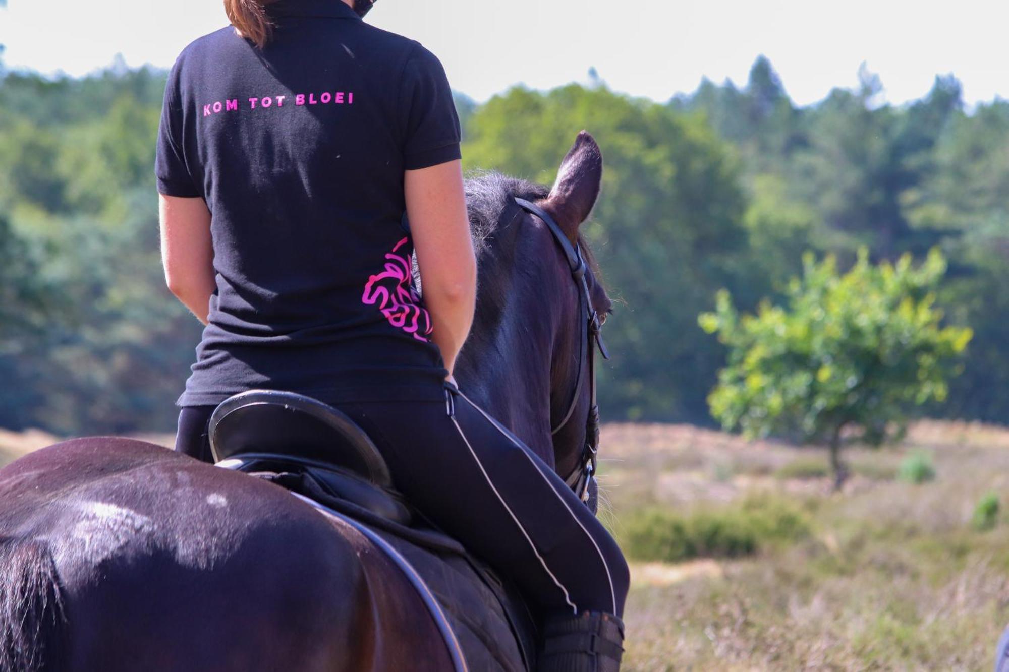 Magnolia Hoeve - Unieke Bestemming Voor Paardenliefhebbers En Bijzondere Overnachtingen In De Natuur Ledeacker Eksteriør billede