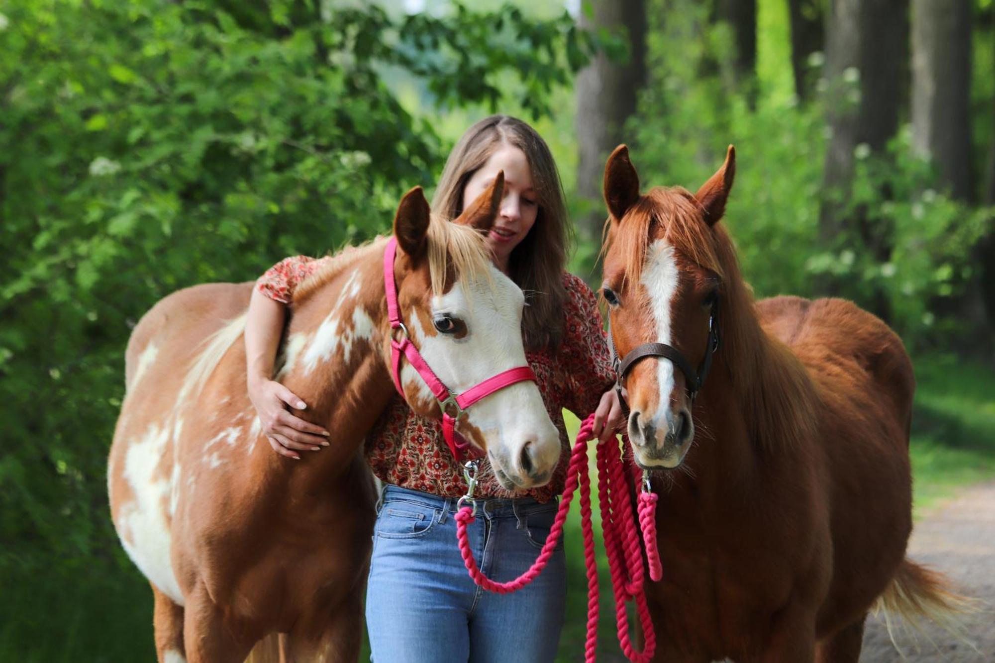 Magnolia Hoeve - Unieke Bestemming Voor Paardenliefhebbers En Bijzondere Overnachtingen In De Natuur Ledeacker Eksteriør billede