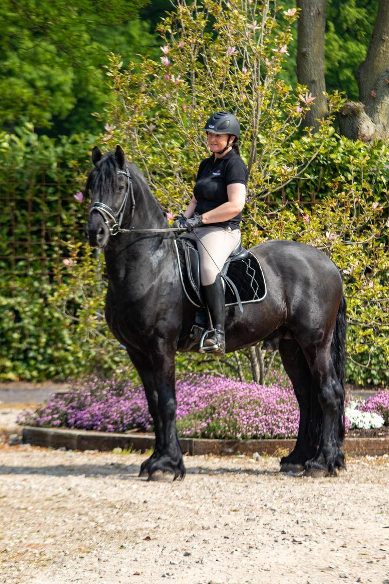 Magnolia Hoeve - Unieke Bestemming Voor Paardenliefhebbers En Bijzondere Overnachtingen In De Natuur Ledeacker Eksteriør billede