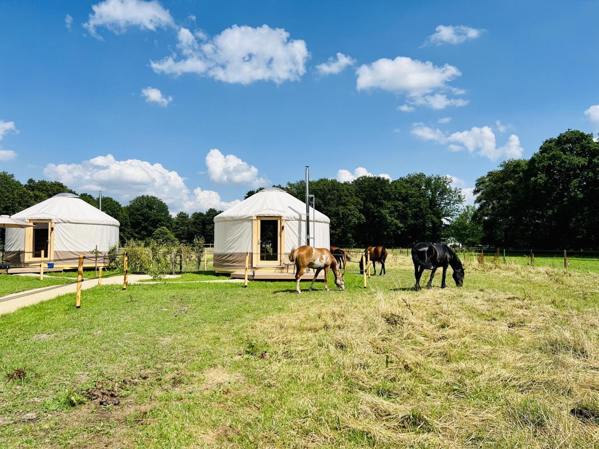 Magnolia Hoeve - Unieke Bestemming Voor Paardenliefhebbers En Bijzondere Overnachtingen In De Natuur Ledeacker Eksteriør billede
