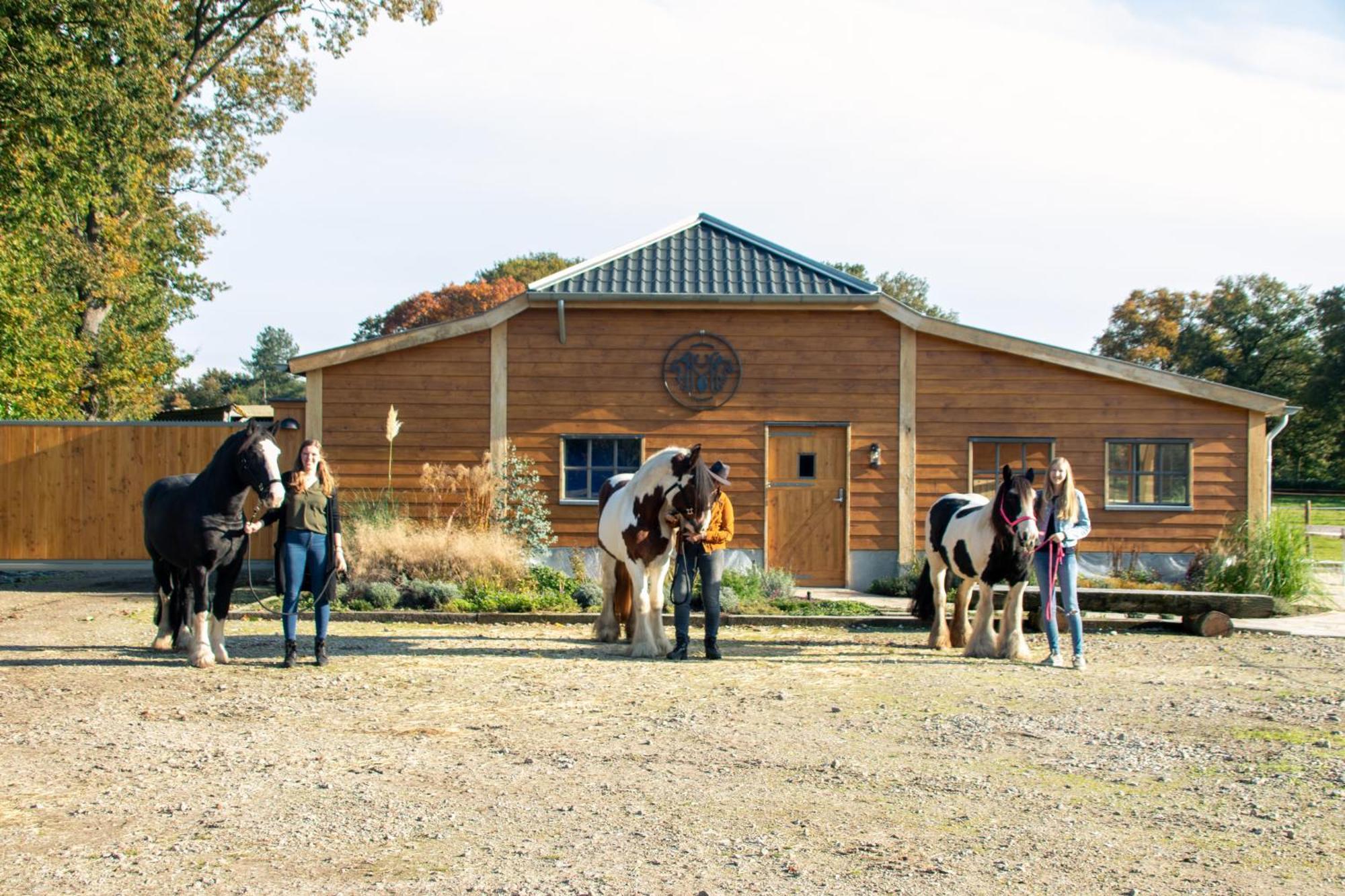 Magnolia Hoeve - Unieke Bestemming Voor Paardenliefhebbers En Bijzondere Overnachtingen In De Natuur Ledeacker Eksteriør billede
