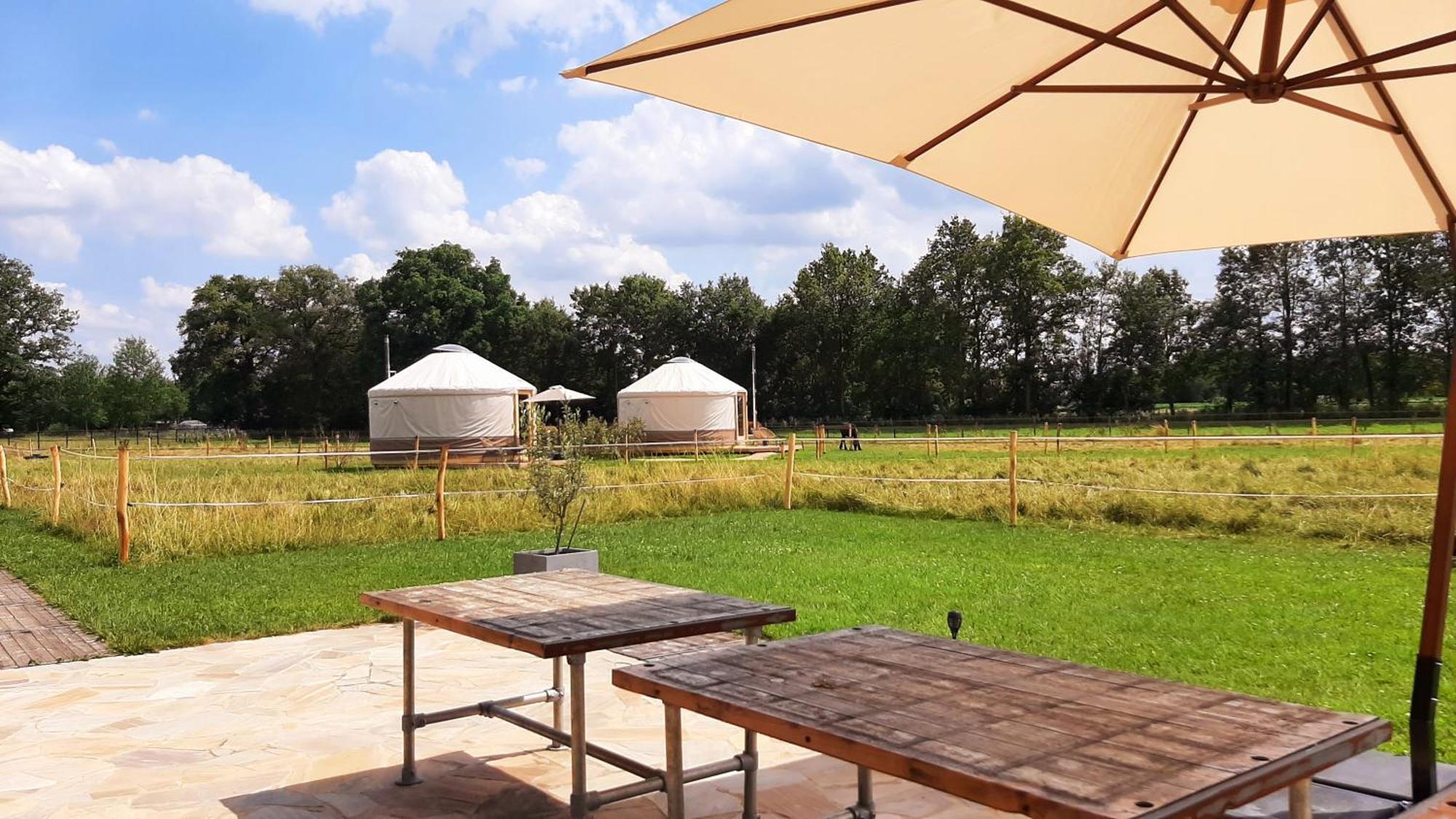 Magnolia Hoeve - Unieke Bestemming Voor Paardenliefhebbers En Bijzondere Overnachtingen In De Natuur Ledeacker Eksteriør billede