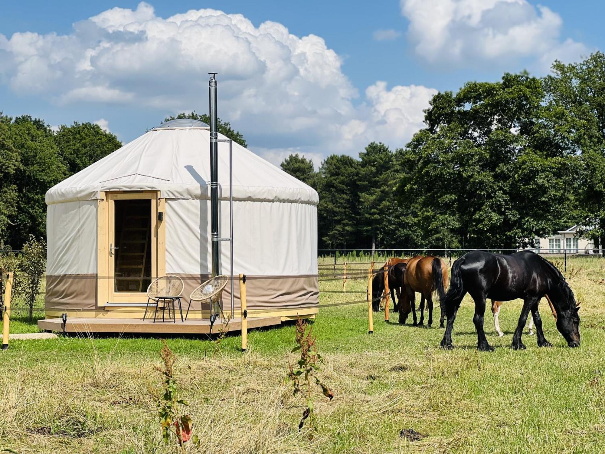 Magnolia Hoeve - Unieke Bestemming Voor Paardenliefhebbers En Bijzondere Overnachtingen In De Natuur Ledeacker Eksteriør billede