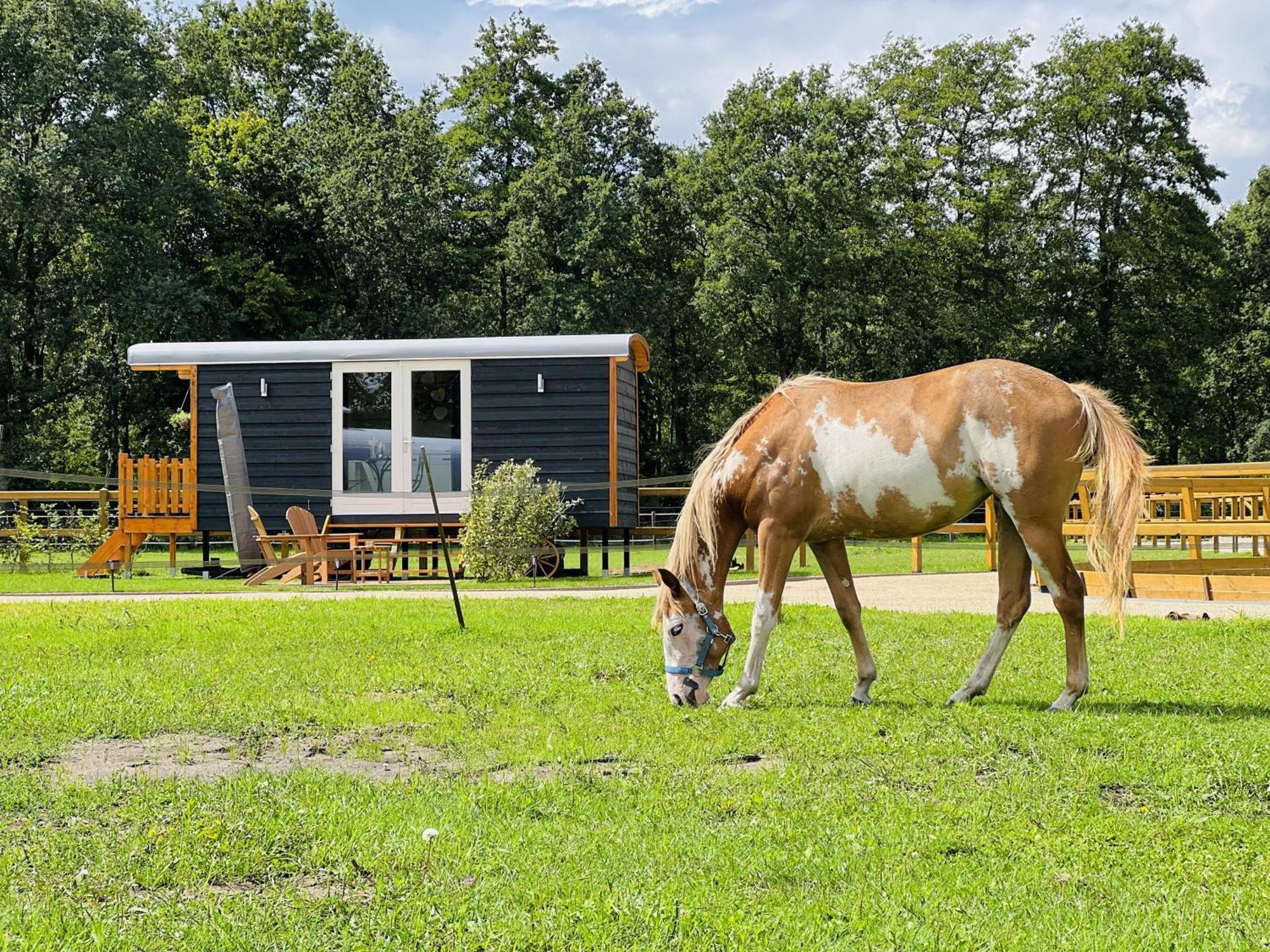 Magnolia Hoeve - Unieke Bestemming Voor Paardenliefhebbers En Bijzondere Overnachtingen In De Natuur Ledeacker Eksteriør billede